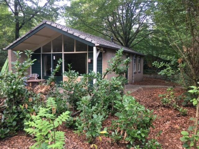 Vakantiebungalow De Schaapskooi إبّ المظهر الخارجي الصورة