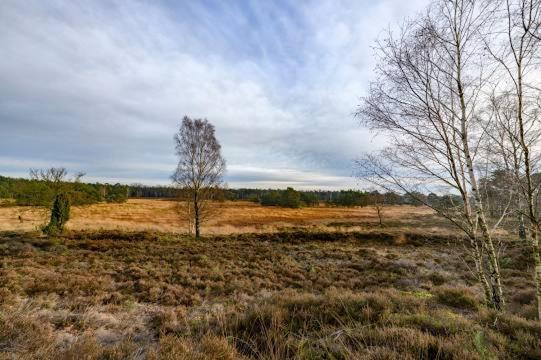 Vakantiebungalow De Schaapskooi إبّ المظهر الخارجي الصورة
